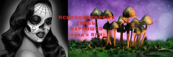 марки nbome Гусиноозёрск